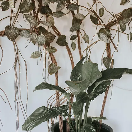 بيت ضيافة O Cantinho Dos Cabrais