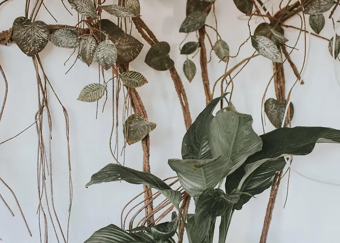 ゲストハウス O Cantinho Dos Cabrais